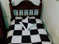 /album/fotogaleria/acolc6-gif/